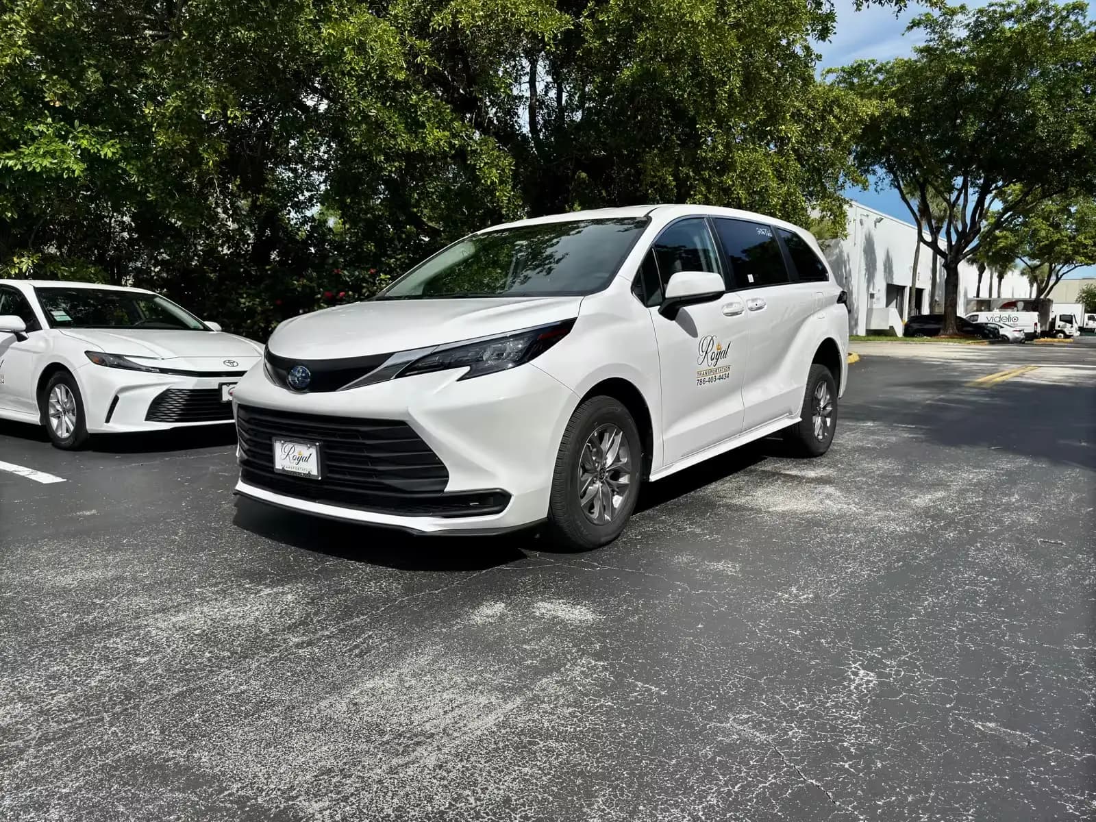 Transportation options for different mobility needs